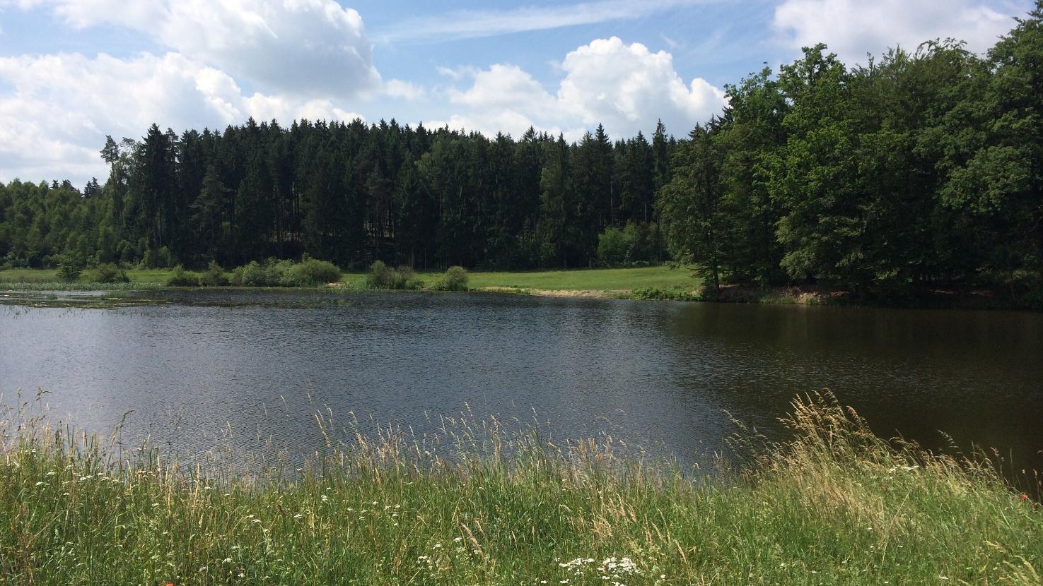 Kokenutkin uimari voi joutua vesillä vaaratilanteeseen, esimerkiksi suonenvedon takia.