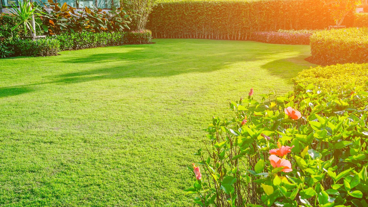 Vuoden 2024 turhake on nurmikko.