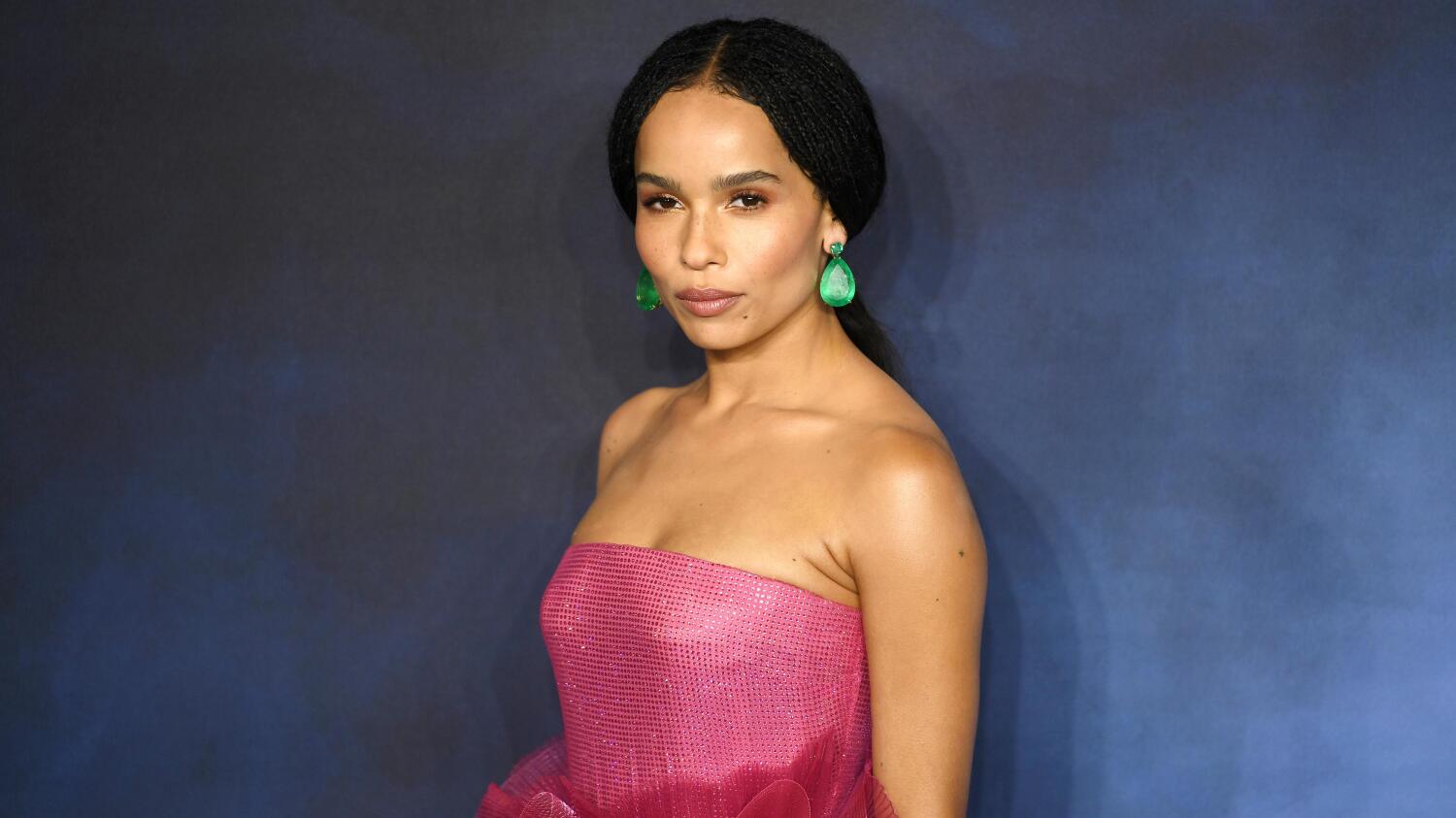 Zoë Kravitz on Momoan ex-vaimon tytär.