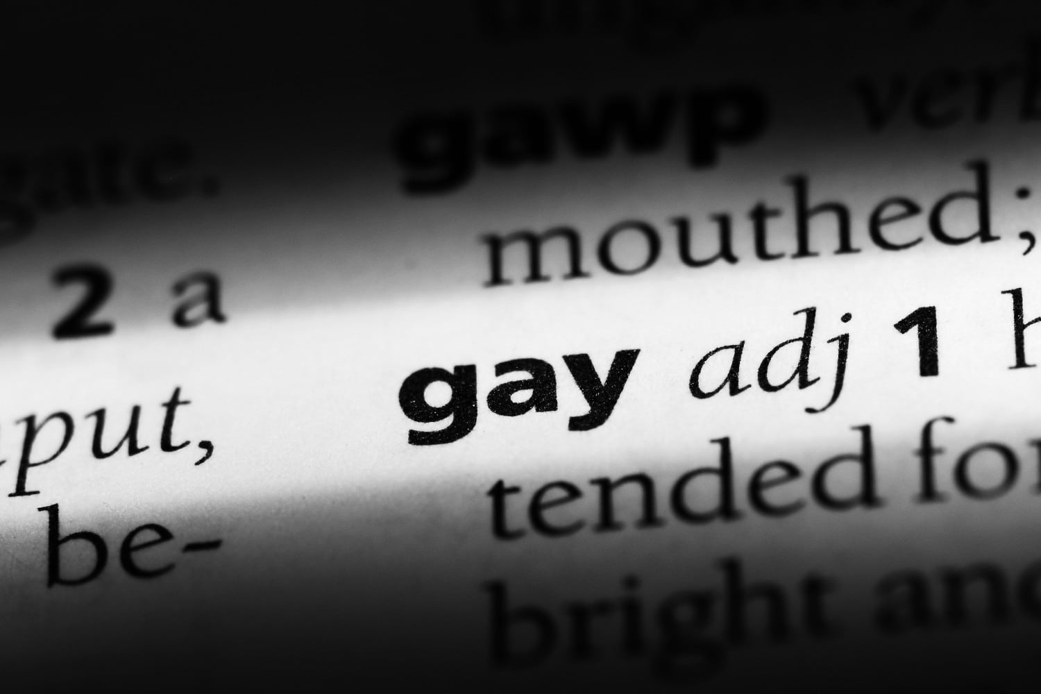 Gay-sanalla alettiin yleisesti viitata seksuaalivähemmistöjen edustajiin 1960-luvulla. Alun perin sana tarkoittaa 