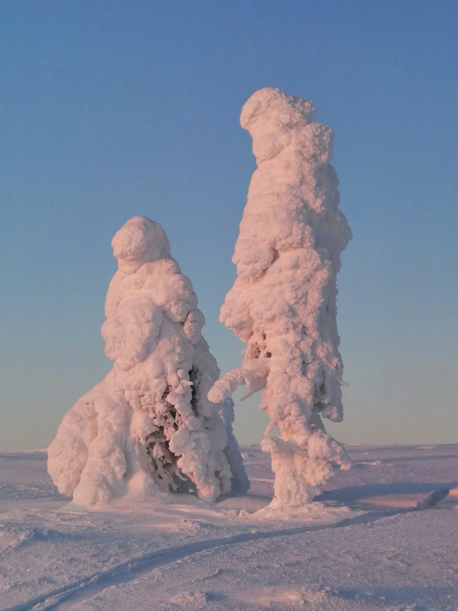 Suvi Rannan ottama kuva herättää hilpeyttä sosiaalisessa mediassa.