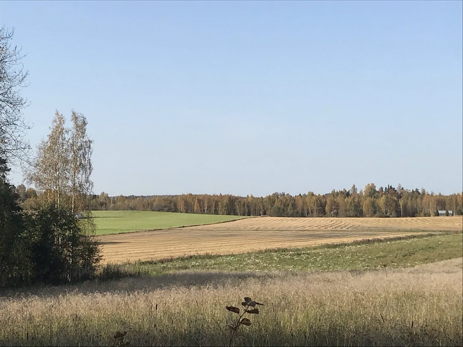 Luonto valmistautuu syksyyn.