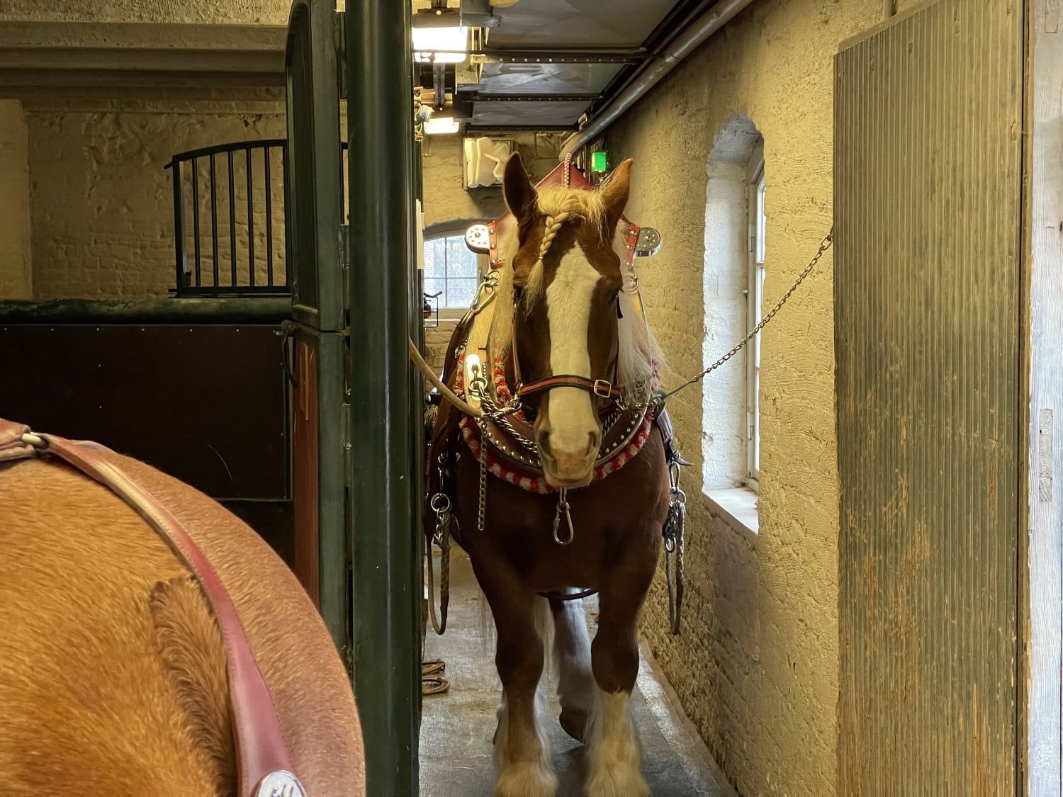 Gunnar valmiina lähtöön.