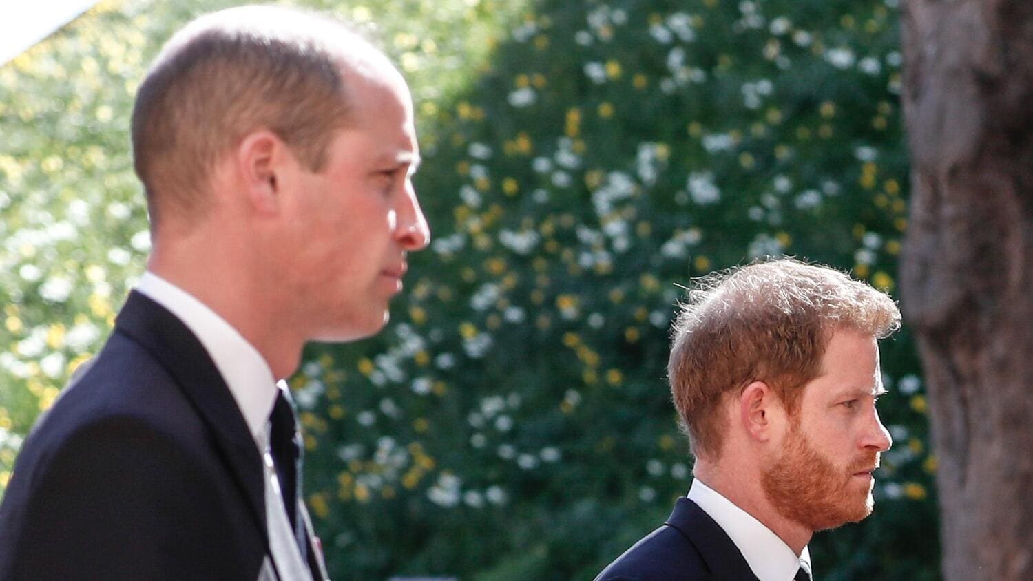 Uusi dokumentti käsittelee prinssi Williamin (vas.) ja prinssi Harryn välirikkoa.