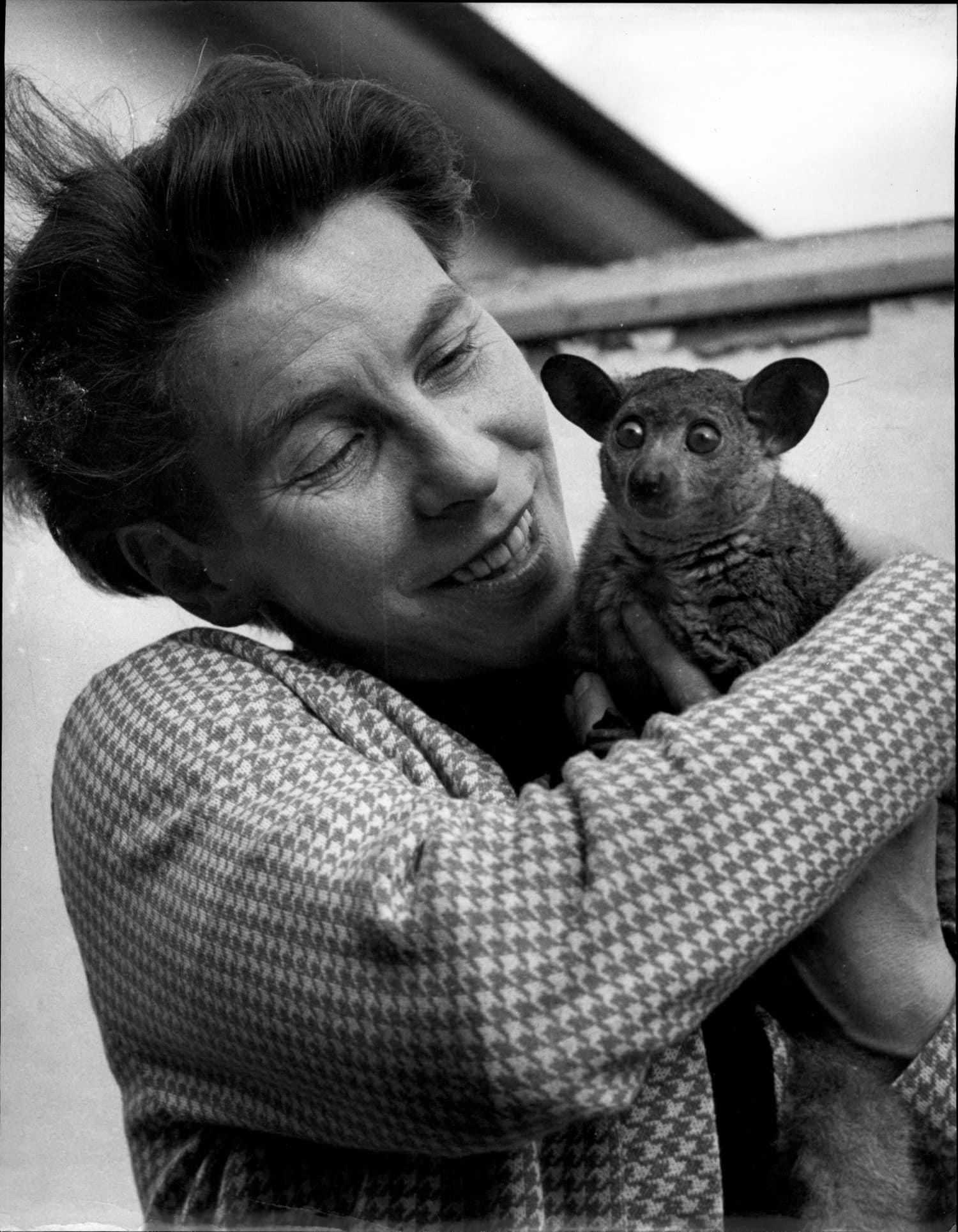 Tove Jansson (1914-2001) oli monipuolinen taiteilija, mutta parhaiten hän on jäänyt mieleen muumien luojana.