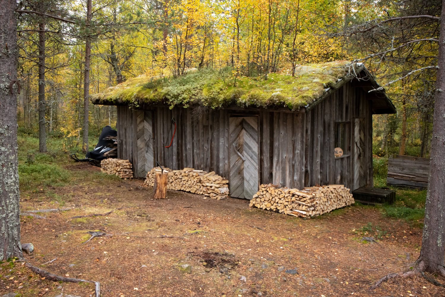 Muun muassa mökin suloinen pihavaja sammalkattoineen ihastutti.