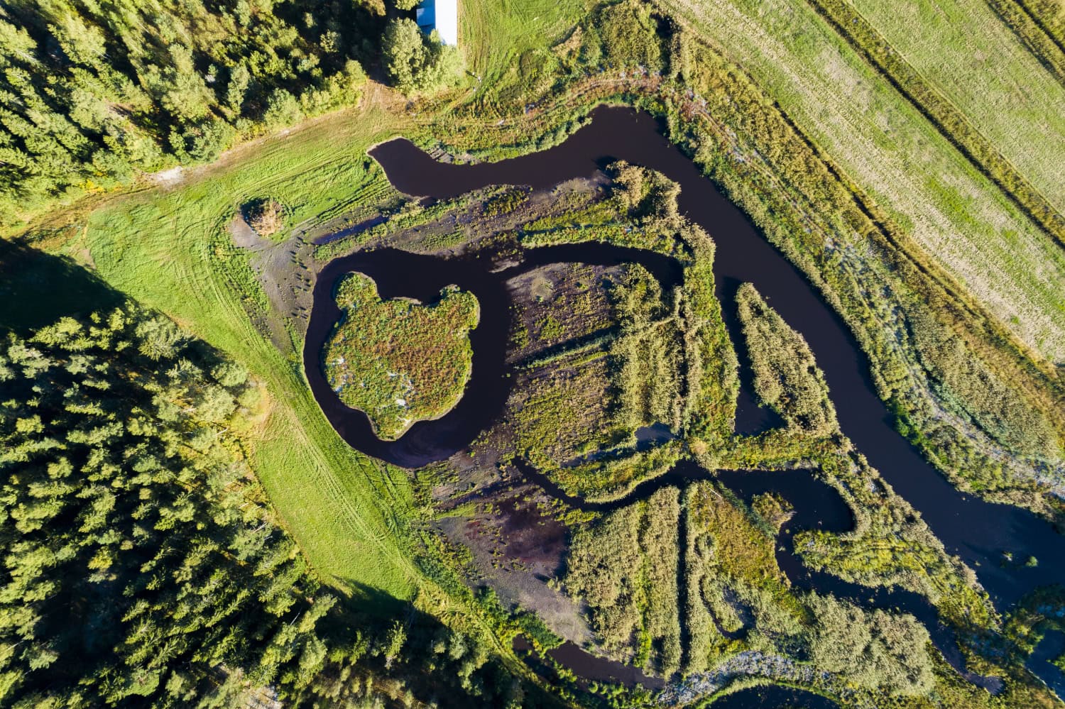 Uudellamaalla sijaitseva pandakarhun pää on rakennettu yksityiselle maalle, joten sen tarkka sijainti ei ole tiedossa.