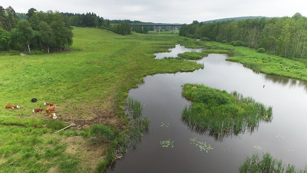 Saloon vuonna 2011 rakennettua kosteikkoa koristaa sydänkuvio.
