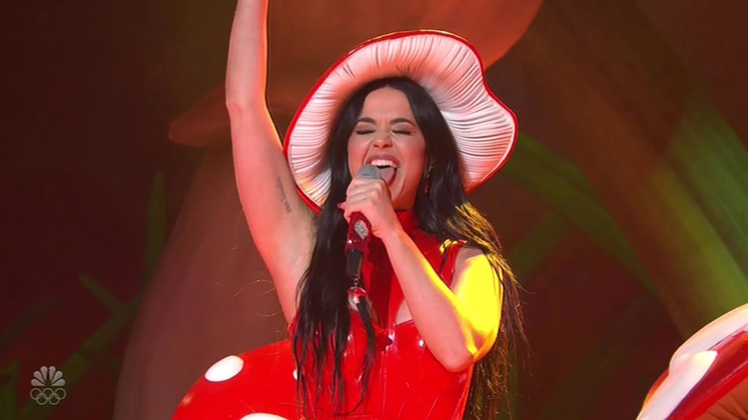 Katy Perry pystyy miehensä ansiosta esimerkiksi esiintymään SNL-ohjelmassa sienipuvussa.