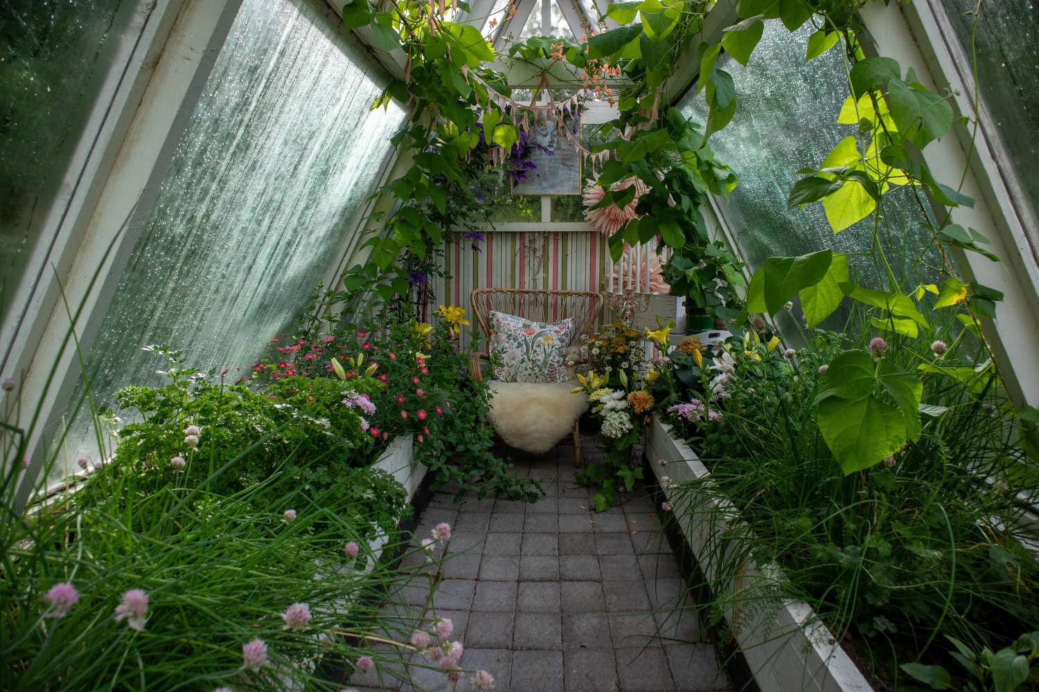 Pihalla koreilee ihanan vehreä kasvihuone.