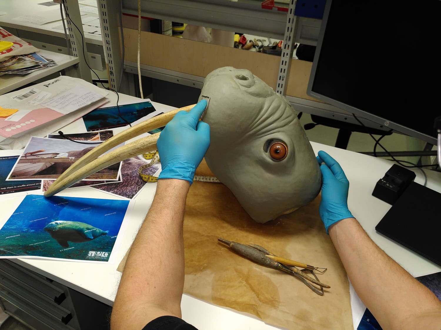 Mursun pään ja hampaiden muovailua.