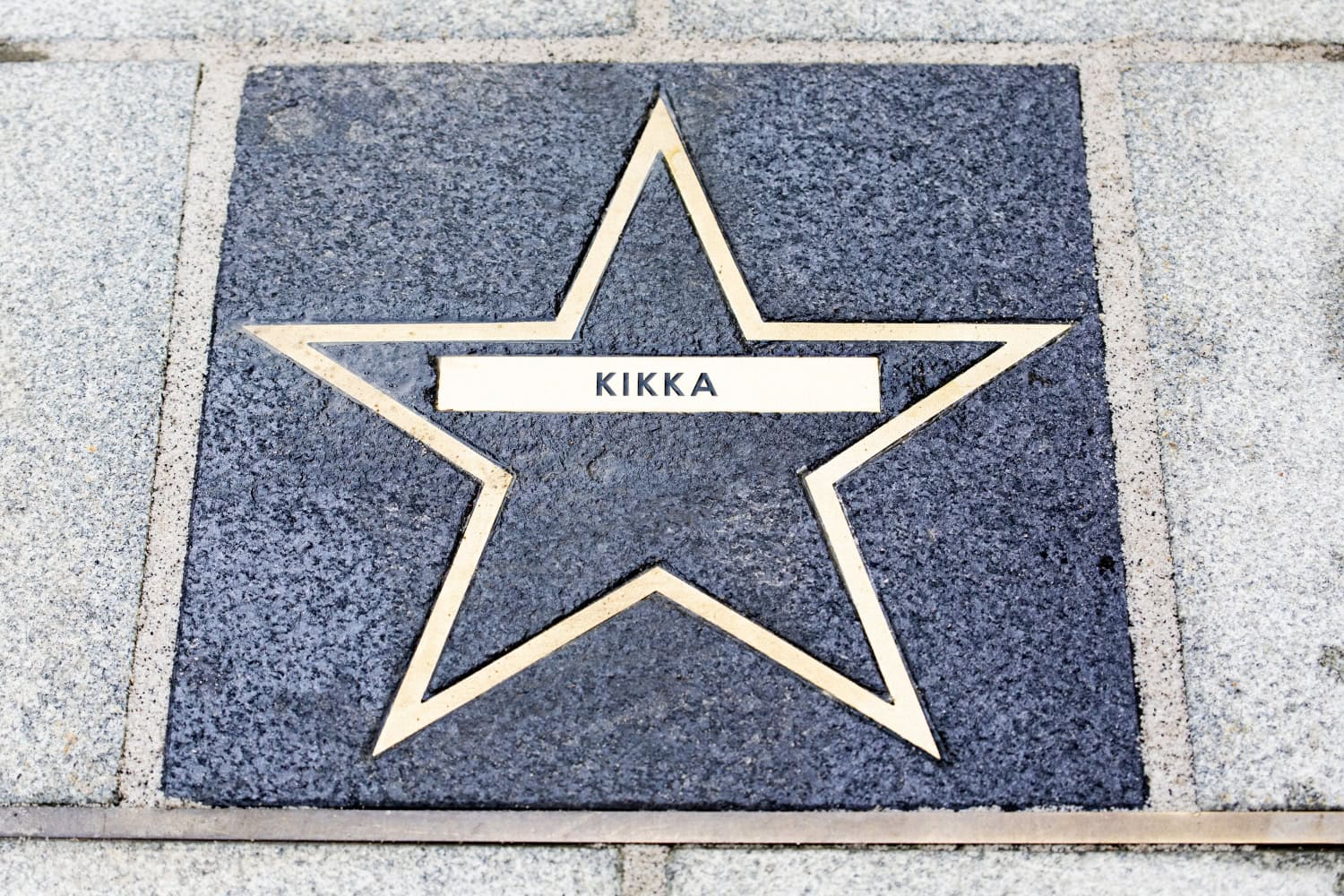 Kikan elämää käsiteltiin myös viime vuoden lopulla ensi-iltansa saaneessa Kikka!-elokuvassa.