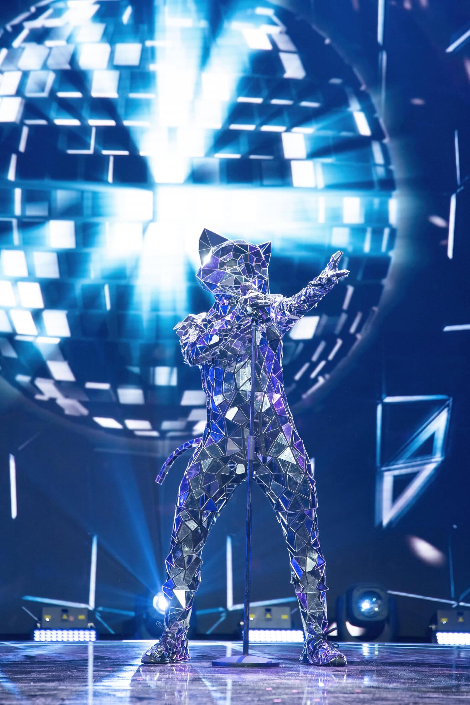 Aino-Kaisa Saarinen paljastui Discokissaksi.