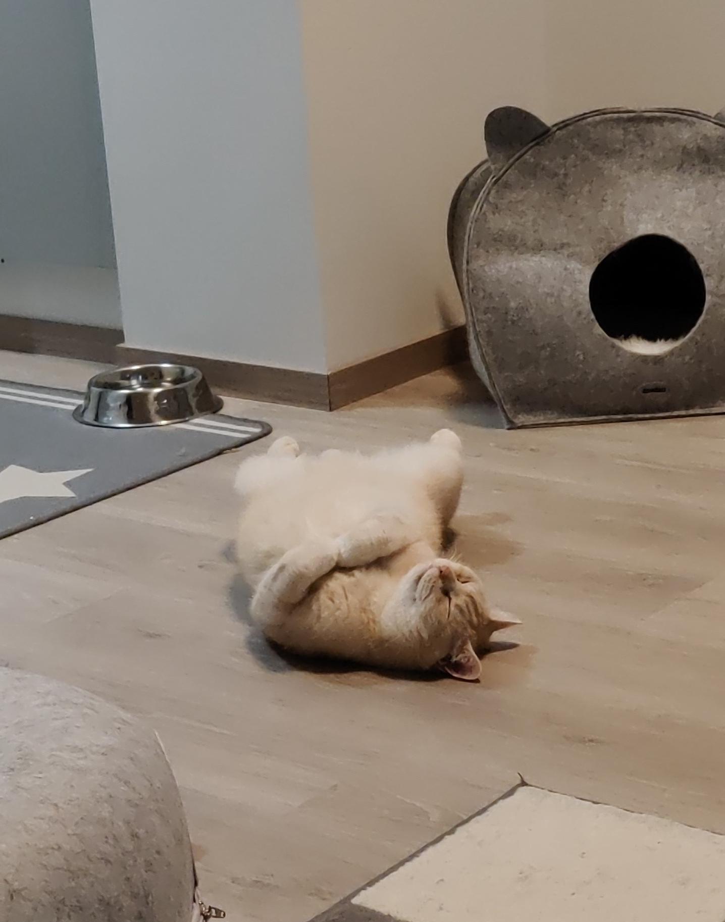 Maunosta on tullut rakastava isoveli.