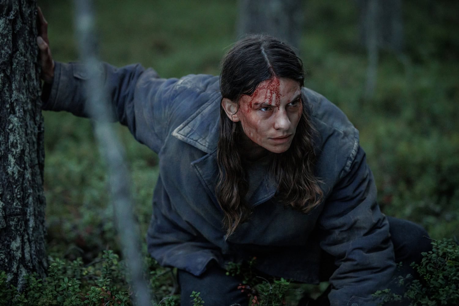 Luvassa on jännitystä ja mustaa huumoria.