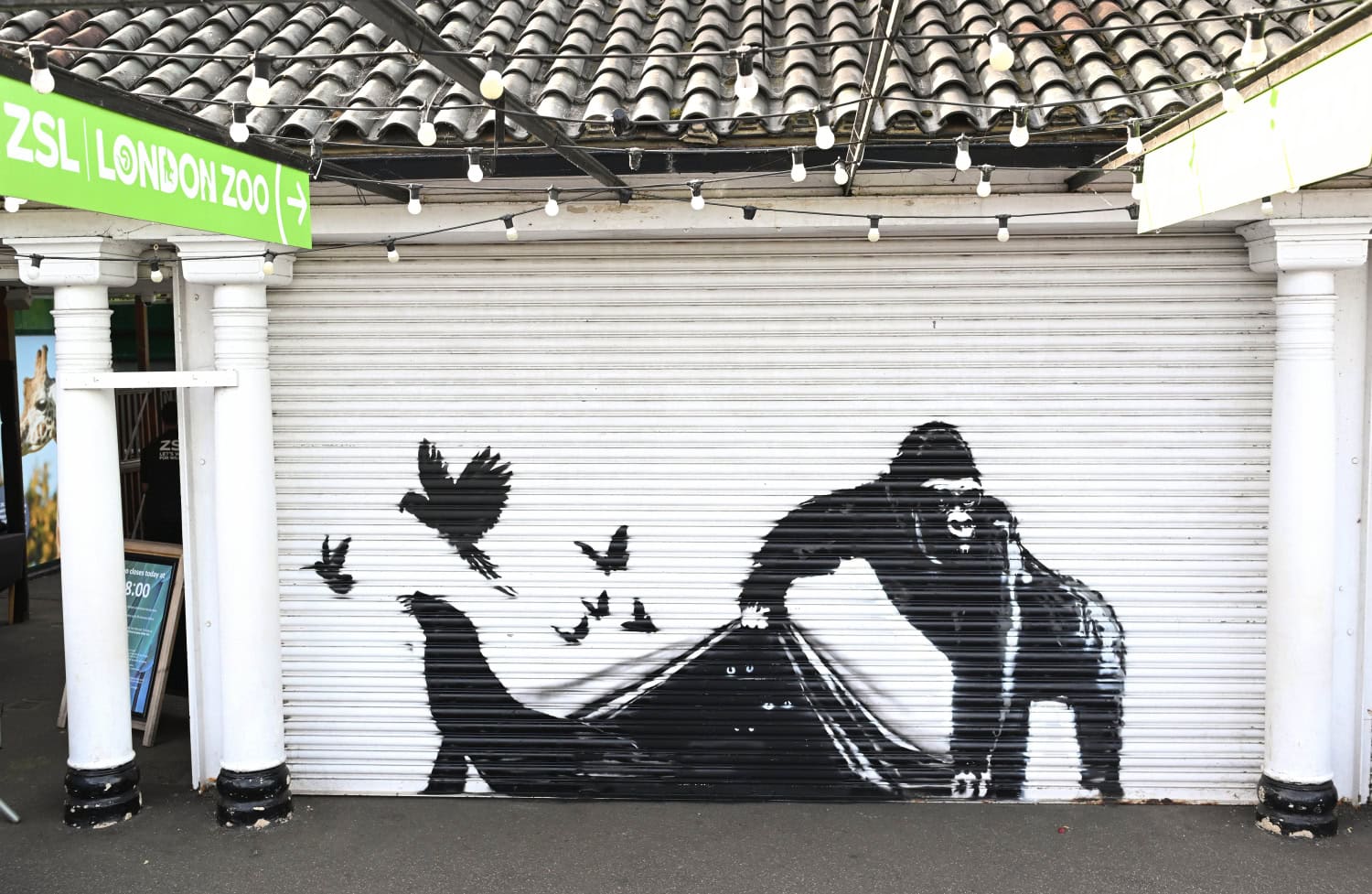 Gorilla raottaa teoksessa eläintarhan porttia.