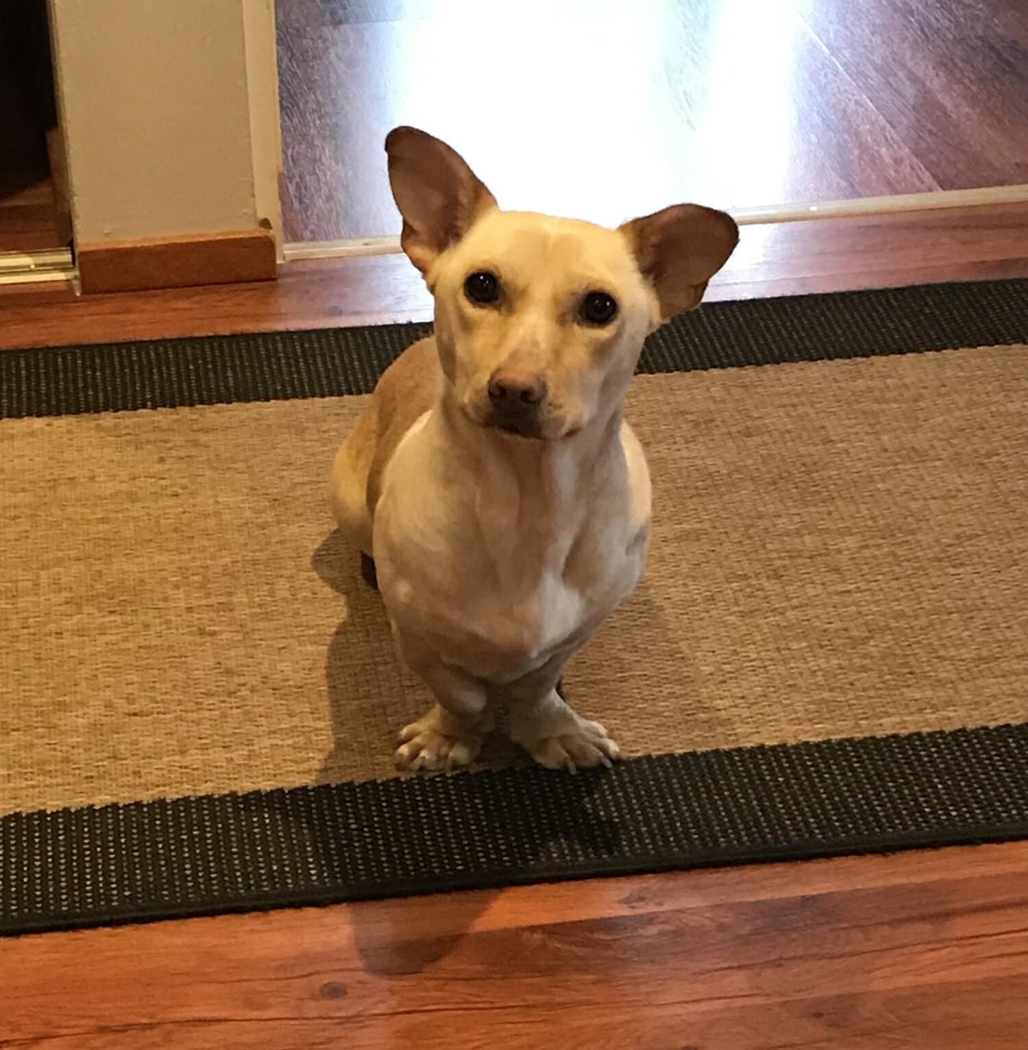 Rakkaalla lapsella on monta nimeä: Nikos, Nikke, Niko, Kreikan toffee...