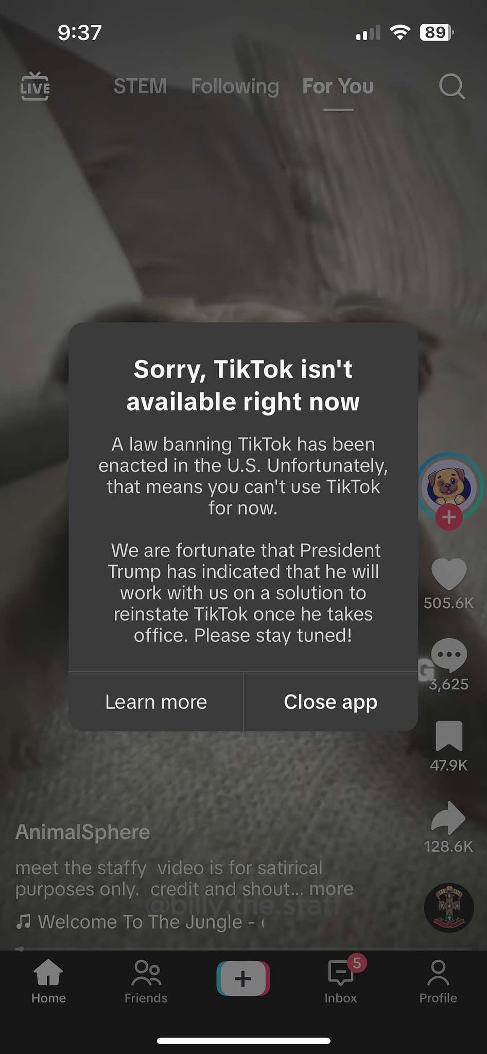 Hanna Gatziotisin ottama kuvakaappaus hänen käyttämästään Tiktok-sovelluksesta.