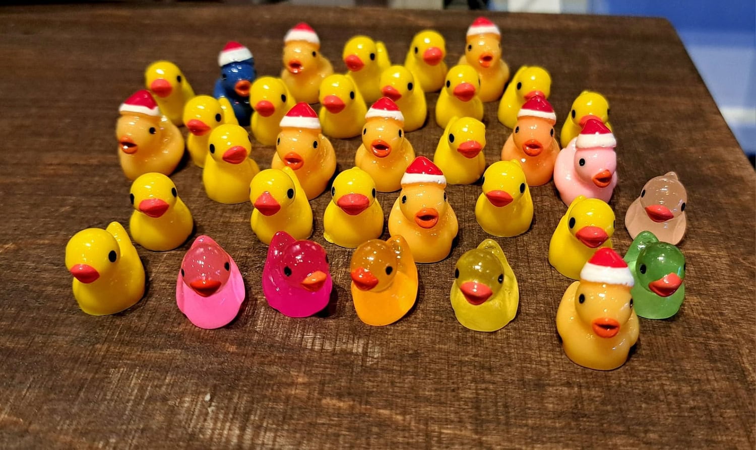 Lopulta ankkoja kertyi aikamoinen parvi.