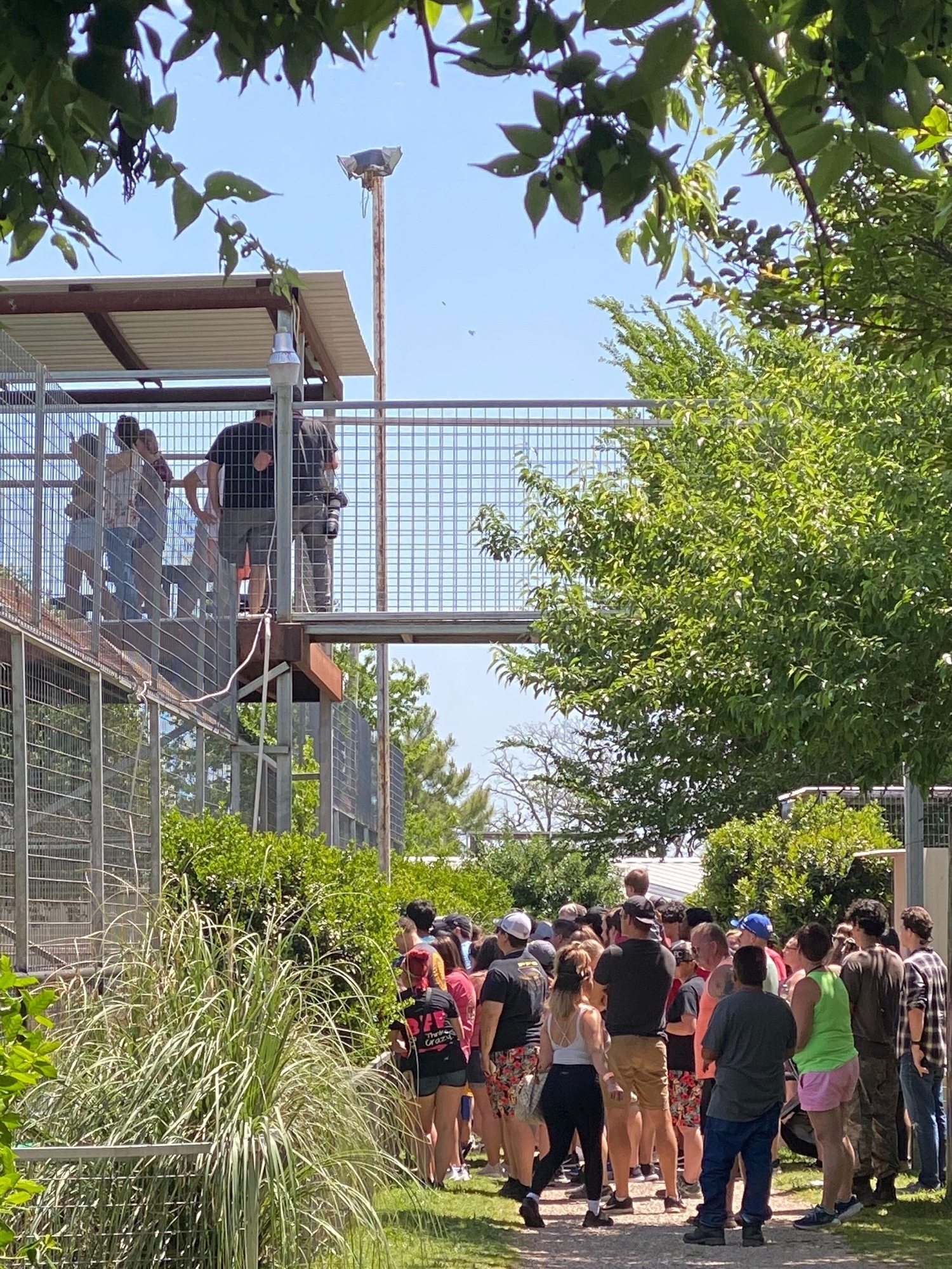 Väkeä oli paikalla sankoin joukoin.