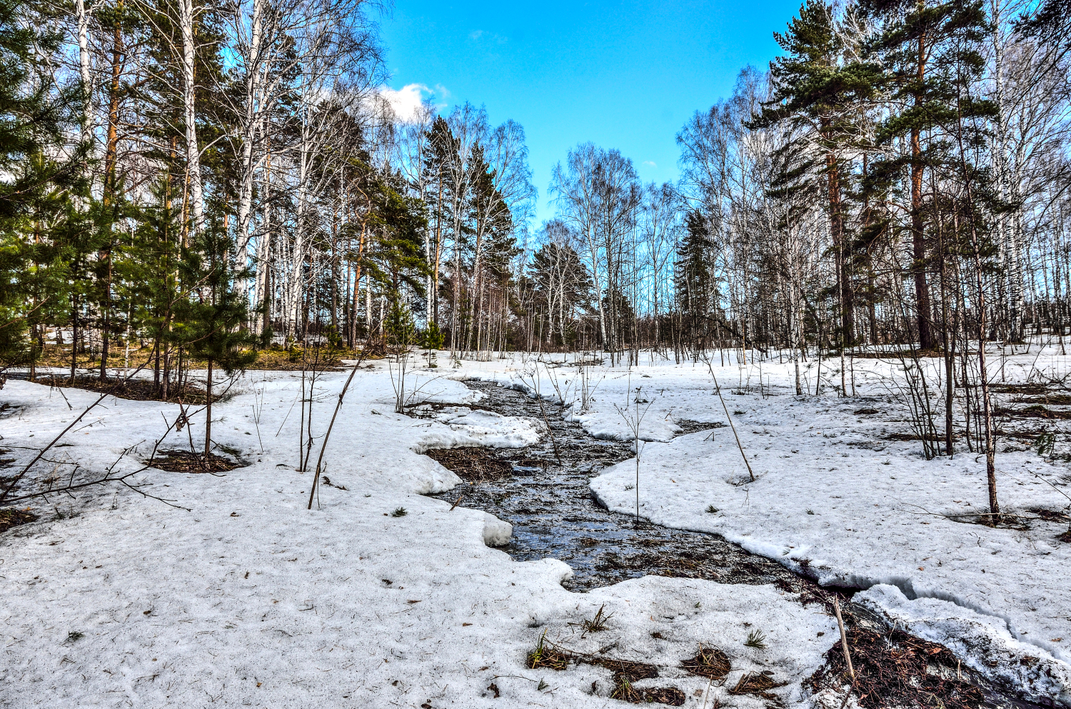 Auringolta tulee suojatua jo varhain keväällä.