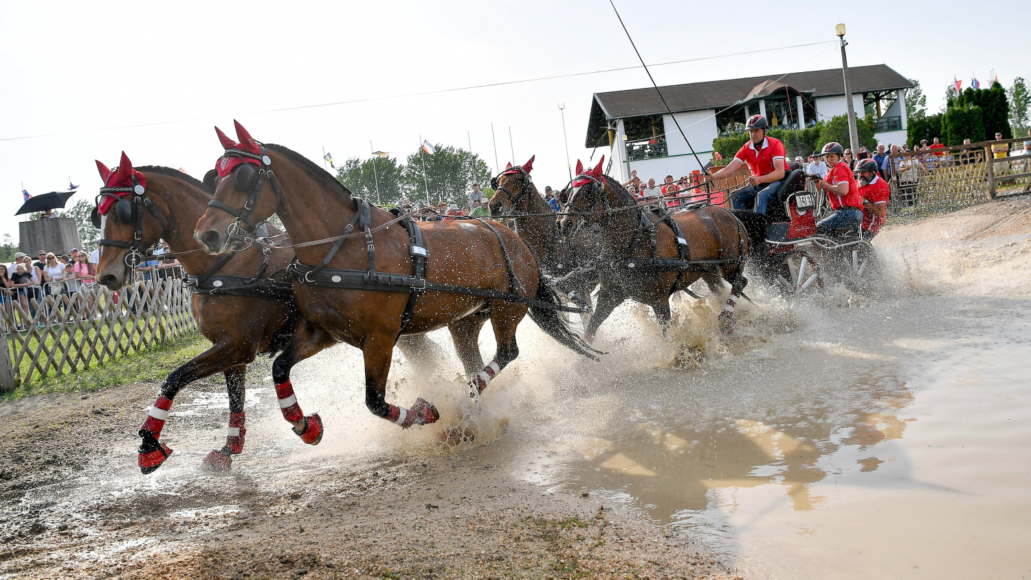 Valjakkoajossa kilpaillaan koulu-, kestävyys- ja tarkkuuskokeessa. Kuva vaihtelevassa maastossa ajettavasta kestävyyskokeesta.