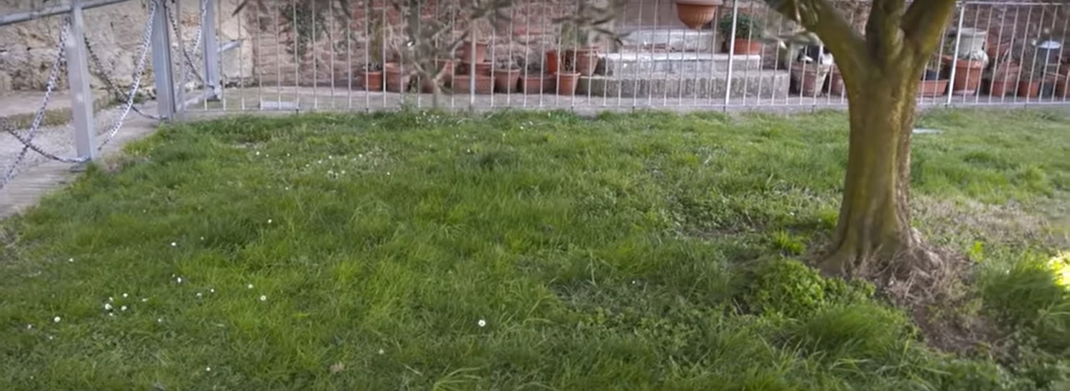 Kiven sijaan legendaarinen miekka iskettiin maahan.