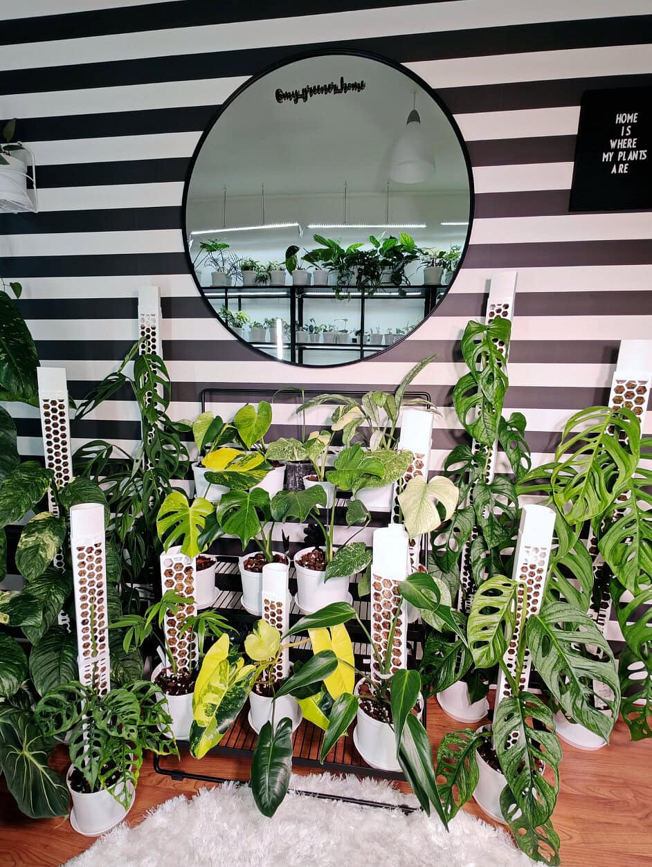 Graafiset kuviot, kuten mustavalkoiset raidat, toimivat pohjana lehtivihreälle.