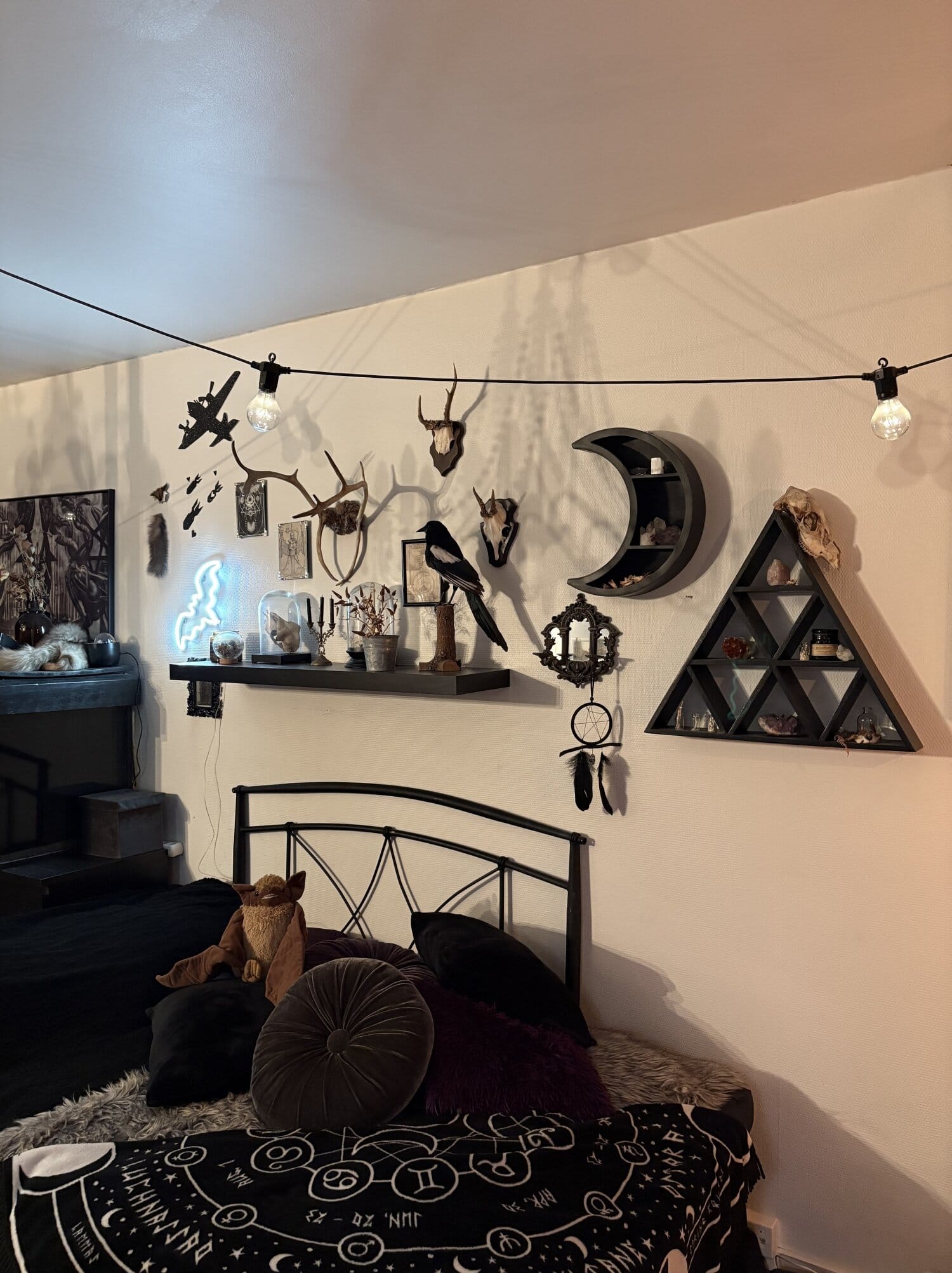 Luut, kallot ja taksidermitaide näkyvät selkeänä osana kodin sisustusta.