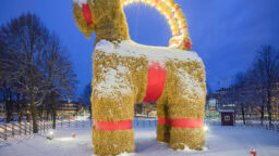 Gävlen olkipukki on jälleen pystytetty – pukin tuhontäyteinen historia itkettää ja naurattaa