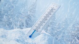 Kaupoissa puutetta voista ja vihanneksista, mutta vodkaa on hyllyt väärällään – venäläiset kertovat ahdingostaan talven edessä