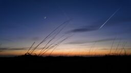 Ensi yönä kannattaa tähyillä taivaalle