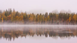 Säässä on tällä viikolla tapahtumia joka lähtöön, sanoo Foreca – saadaanko lunta myös etelään?