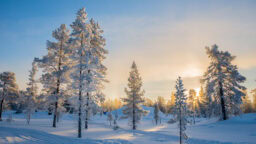 Kuluvan talven pakkasennätys meni rikki – tällaiset lukemat mitattiin Enontekiöllä