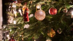 Kumpi on ekologisempi valinta, aito kuusi vai muovikuusi?