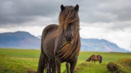 ”Tylsää kuin helvetti” – Ylen uutuussarja kuumentaa tunteita