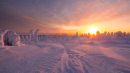 Talven pakkasennätys meni uusiksi – Savukoskella hurjat pakkaslukemat