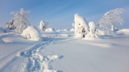 Pakkasennätys meni Savukoskella jälleen uusiksi – hyytävät lukemat