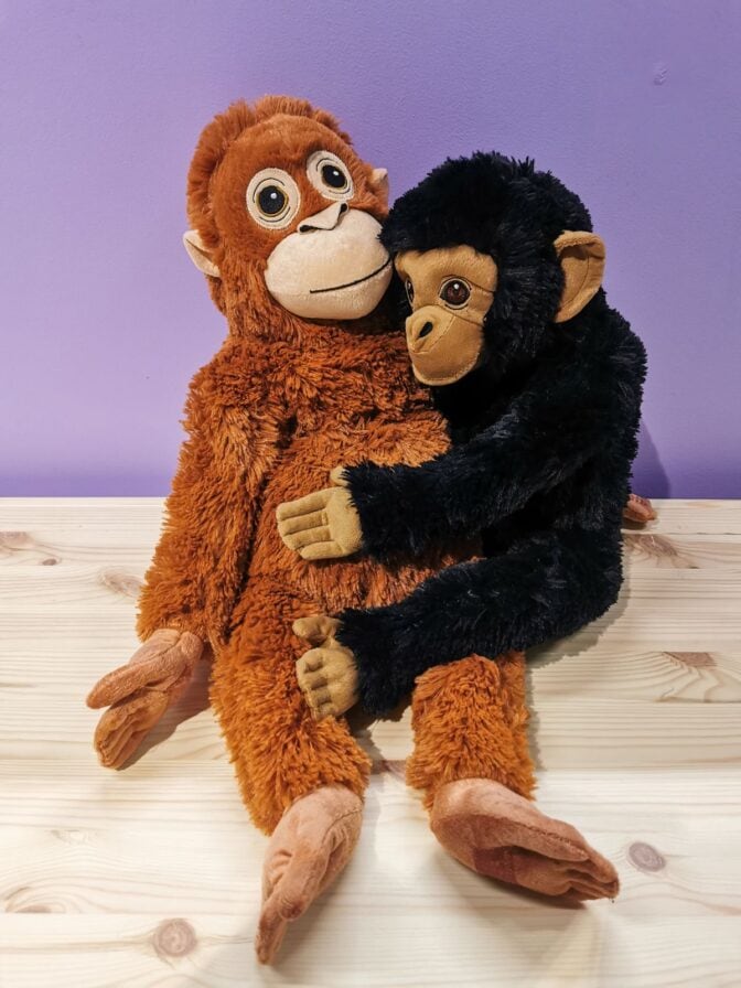 Punch-apina aiheutti maailmanlaajuisen ryntäyksen Ikeoihin