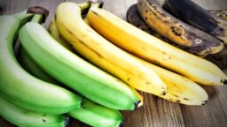 Tiesitkö tämän banaanista? Näin paljon kypsyys vaikuttaa terveellisyyteen – ja näin monta päivässä tulisi syödä