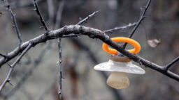 Vastasyntynyt sai vakavat vammat – isä paiskasi vauvan betonilattiaan