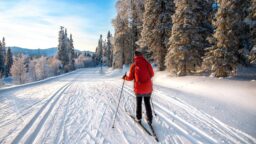 Sähkön hintapuntari hehkuu punaisena