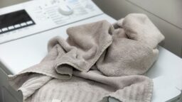 Kuinka usein vaihdat pyyhkeet? Etenkin yksi pyyhe unohtuu helposti – ja se voi kostautua