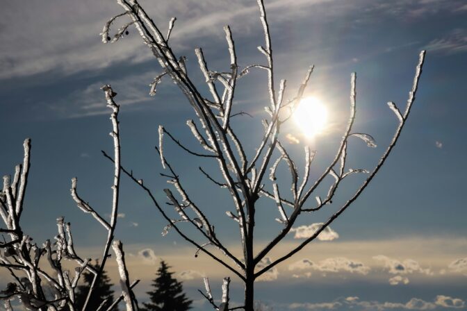 Viikonlopuksi luvassa keväistä säätä – sunnuntaiksi jopa harvinaisia lukemia