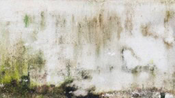 Ammattilaisten ”taidolla ja huolella” remontoima talo olikin vaarallinen läävä