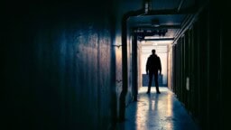 Suomalaiskiekkoilija ei piittaa lähestymiskielloista – vangittiin jälleen ex-puolisonsa vainoamisesta