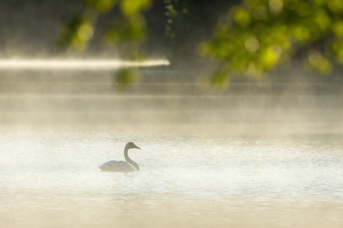 Kesäaika koittaa jälleen – osaatko muistisäännön?