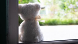 Alaikäinen poika punoi katalan juonen – teki lapsille hirveitä seksuaalirikoksia seurapeliin vedoten