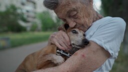 Mikä on koiran pitkän iän salaisuus? Yleisin kuolinsyy paljastui