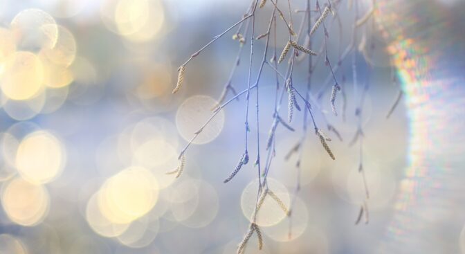 Kevät saapuu rytinällä! Aurinkoa ja lämpötilat reilusti plussalle